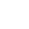 Navicat logo