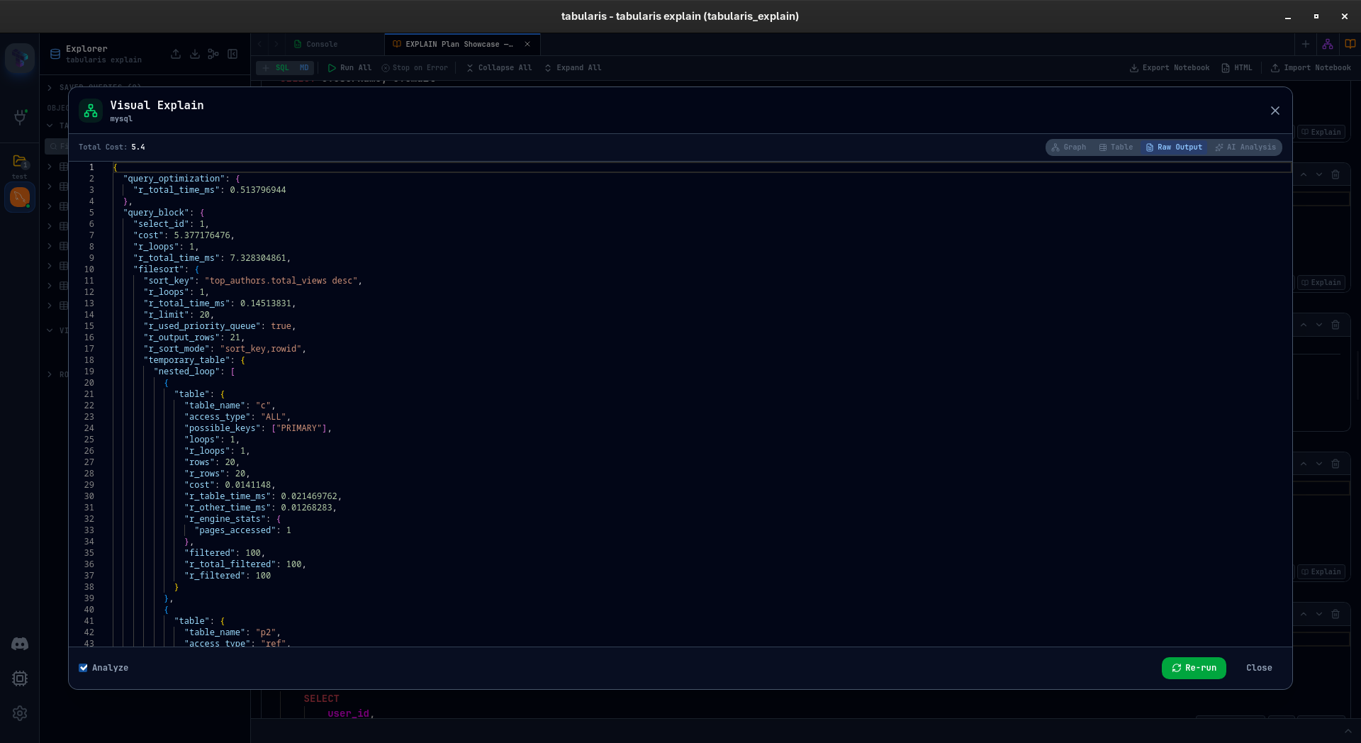 Raw EXPLAIN JSON output in Monaco editor with syntax highlighting